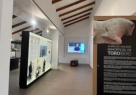 Exposición para conmemorar el 50 aniversario del hallazgo del toro íbero de Monforte del Cid.