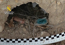 Una de las pruebas recabadas por el Seprona.