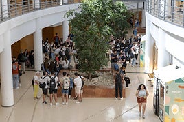 Estudiantes en el campus de la UA.
