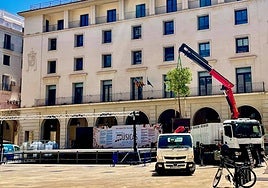 Uno de los naranjos en el momento de colocación en la plaza.