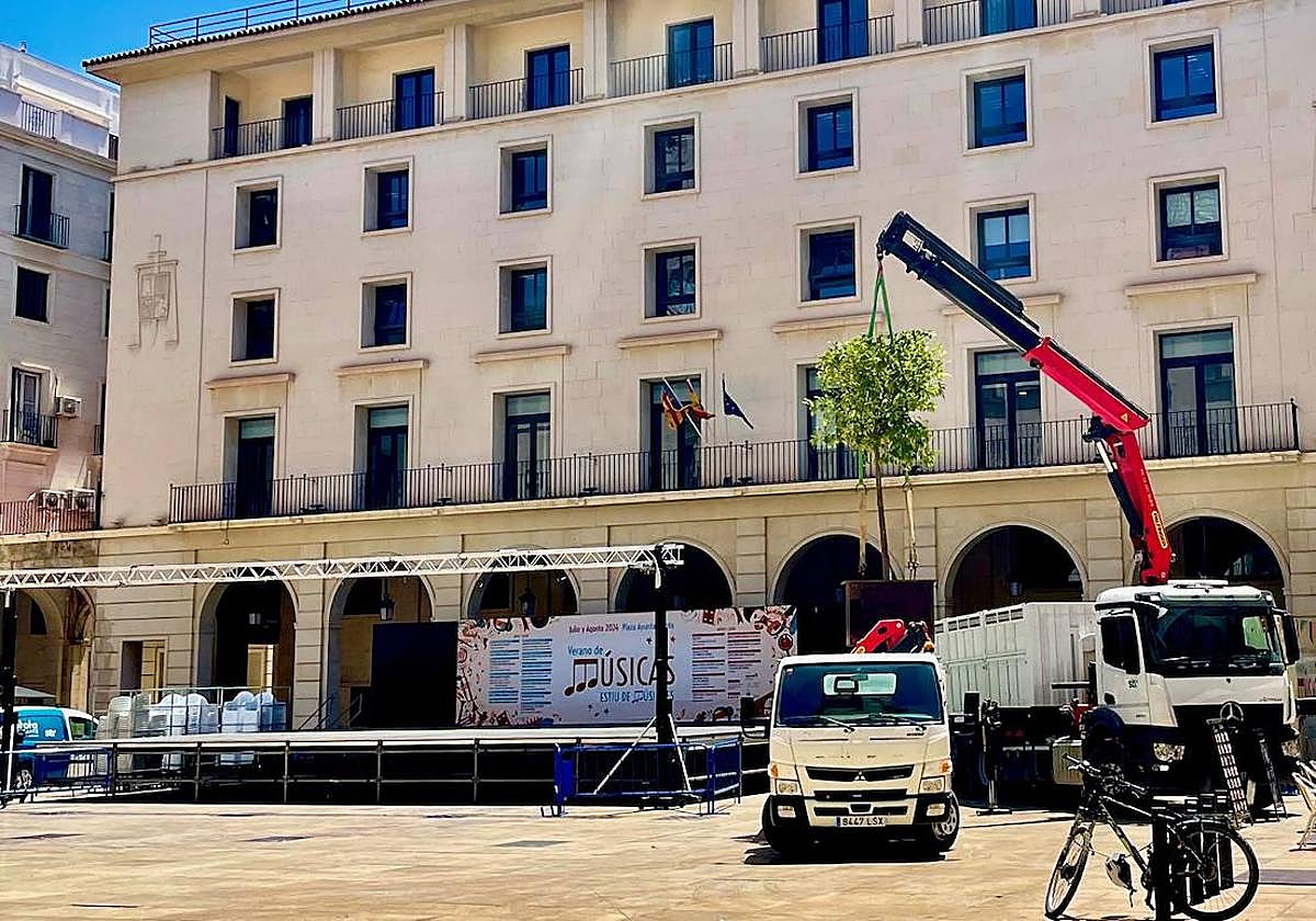 Uno de los naranjos en el momento de colocación en la plaza.