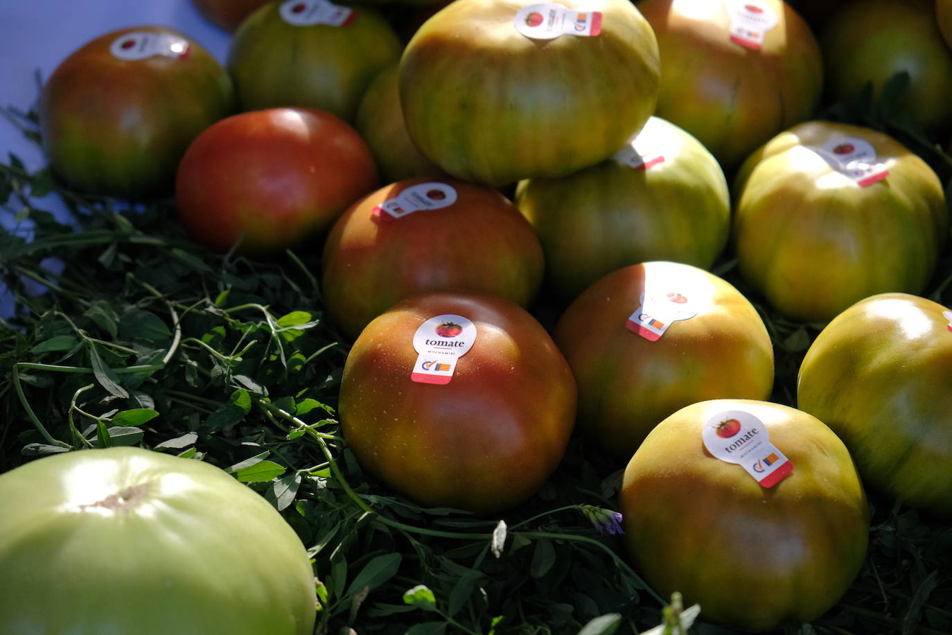 La IV Feria del Tomate de Muchamiel llena el municipio de sabor