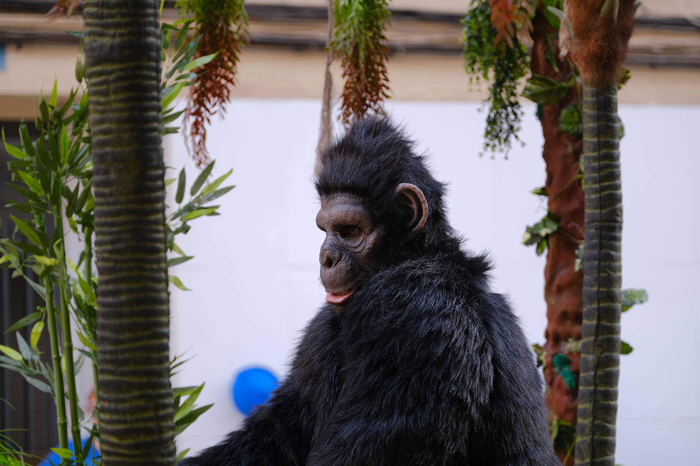 La entrada del bando moro de San Blas, en imágenes