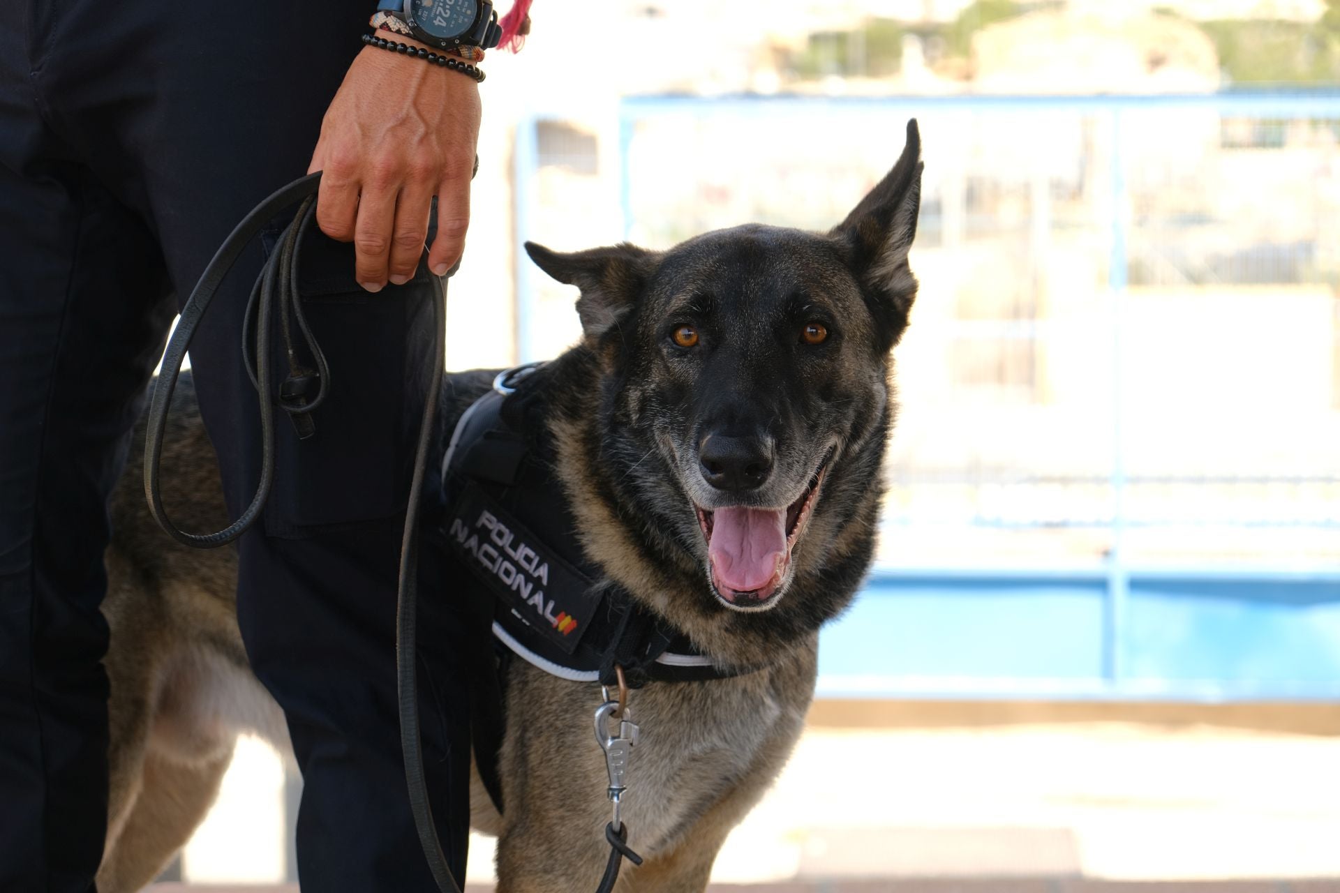 TRAM presenta en Alicante el convoy conmmemorativo del bicentenario de la Policía Nacional