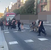 Tres detenidas en una operación antidroga en una cafetería de Alicante