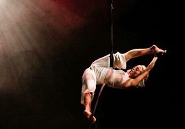 Uno de los espectáculos de Circarte.