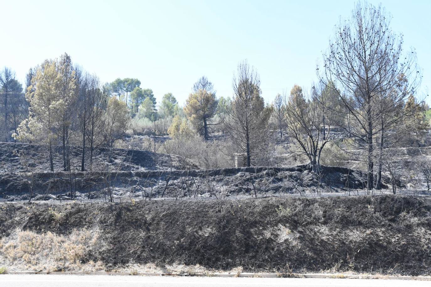 Una montaña de ceniza gris