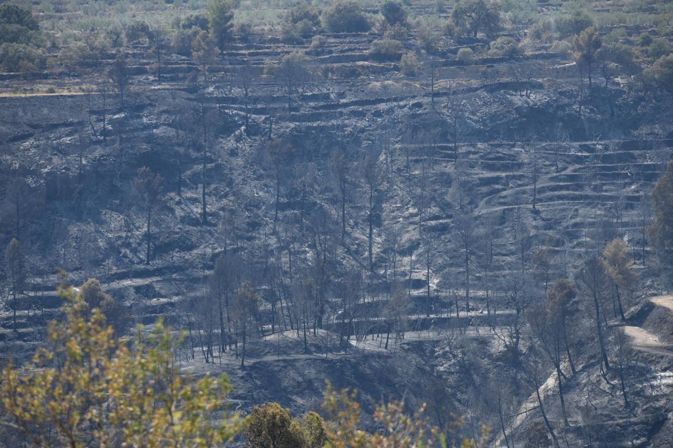 Una montaña de ceniza gris