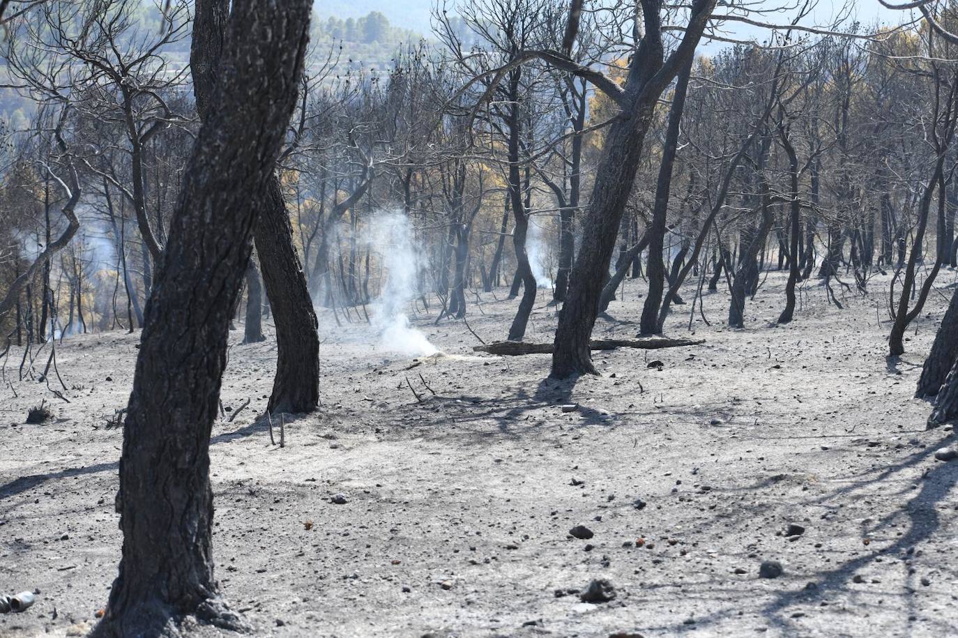 Una montaña de ceniza gris