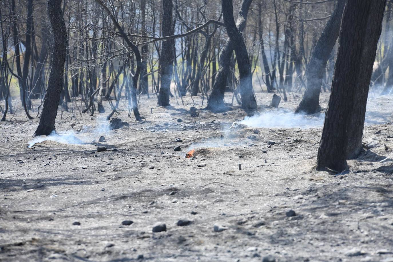 Una montaña de ceniza gris