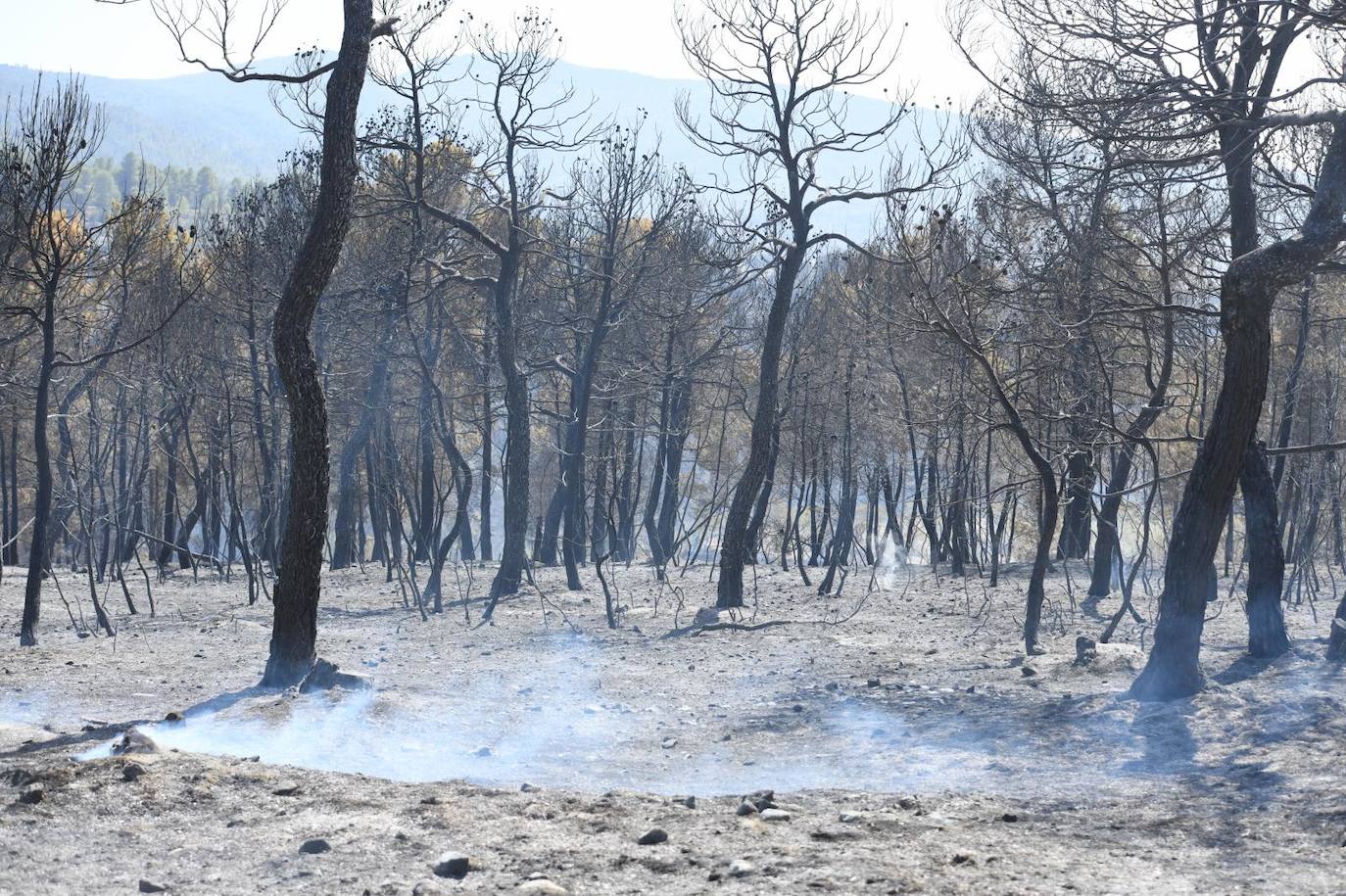 Una montaña de ceniza gris