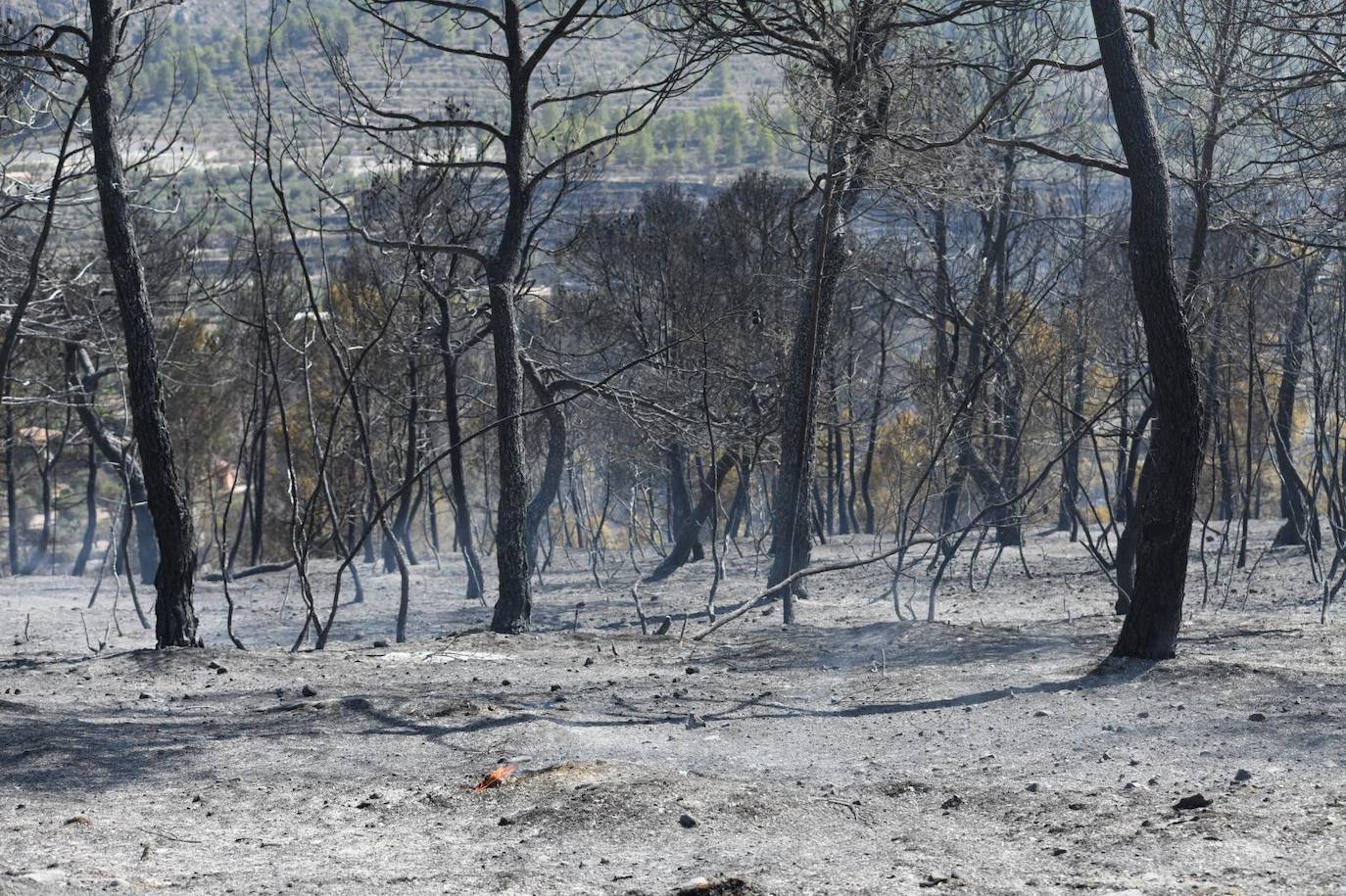 Una montaña de ceniza gris