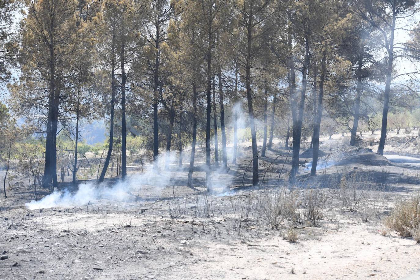 Una montaña de ceniza gris