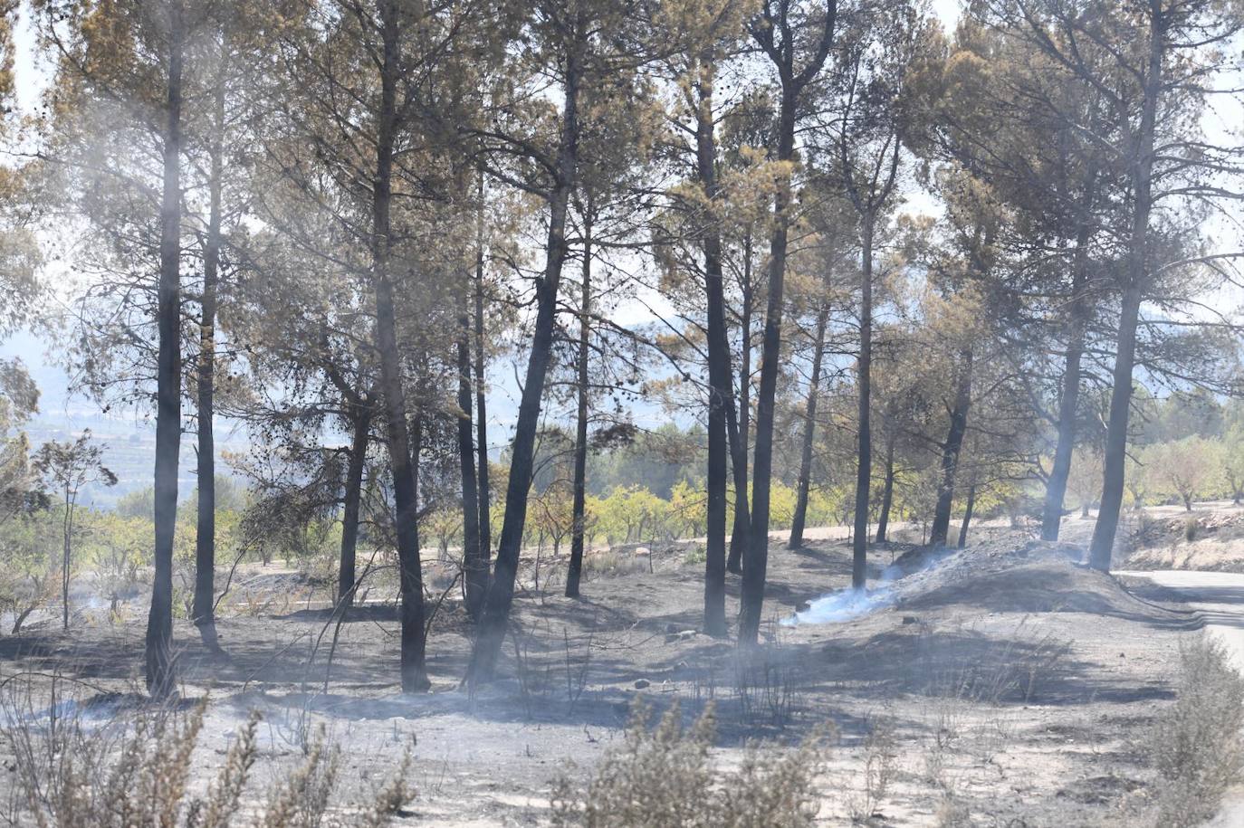 Una montaña de ceniza gris