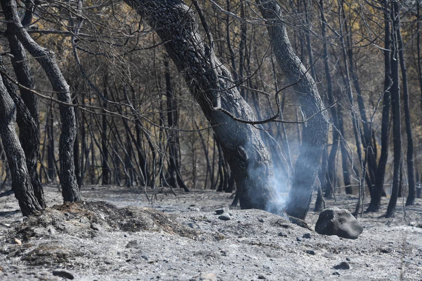 Una montaña de ceniza gris