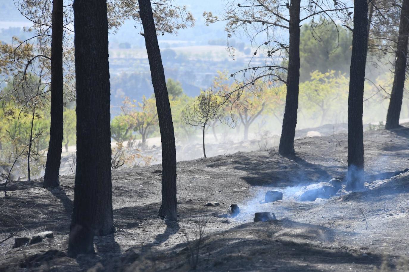 Una montaña de ceniza gris