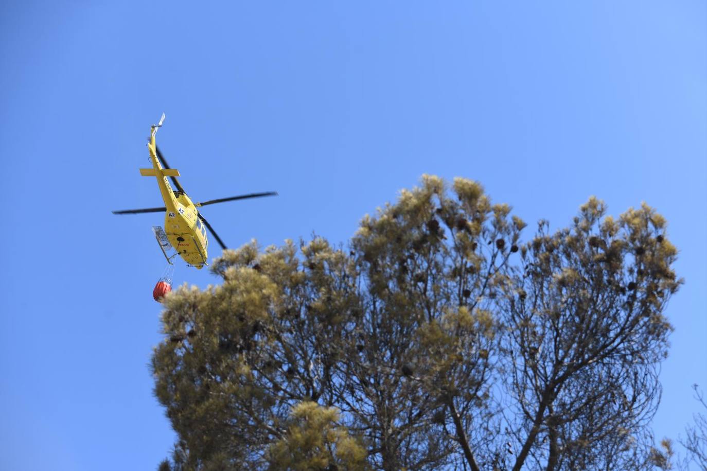 Una montaña de ceniza gris