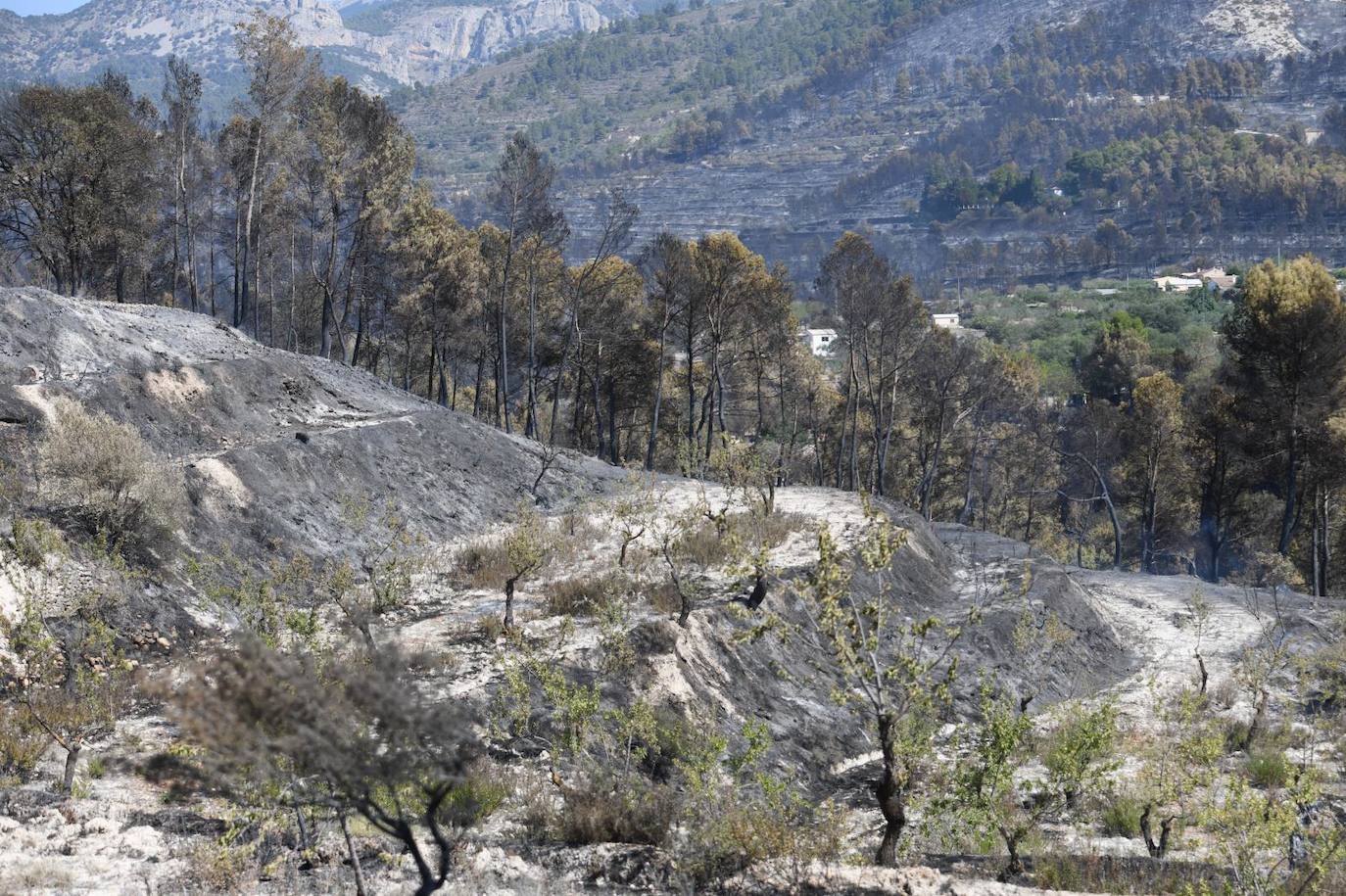 Una montaña de ceniza gris