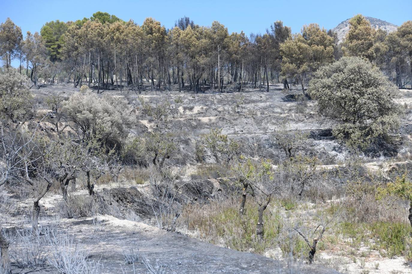 Una montaña de ceniza gris