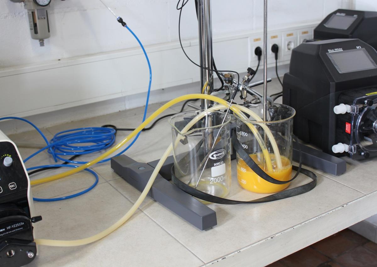 Imagen secundaria 1 - Dispositivo para la intensificación con ultrasonidos en procesos de flujo.