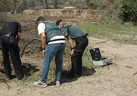 El Seprona, en plena investigación.