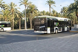 Autobuses de Elche