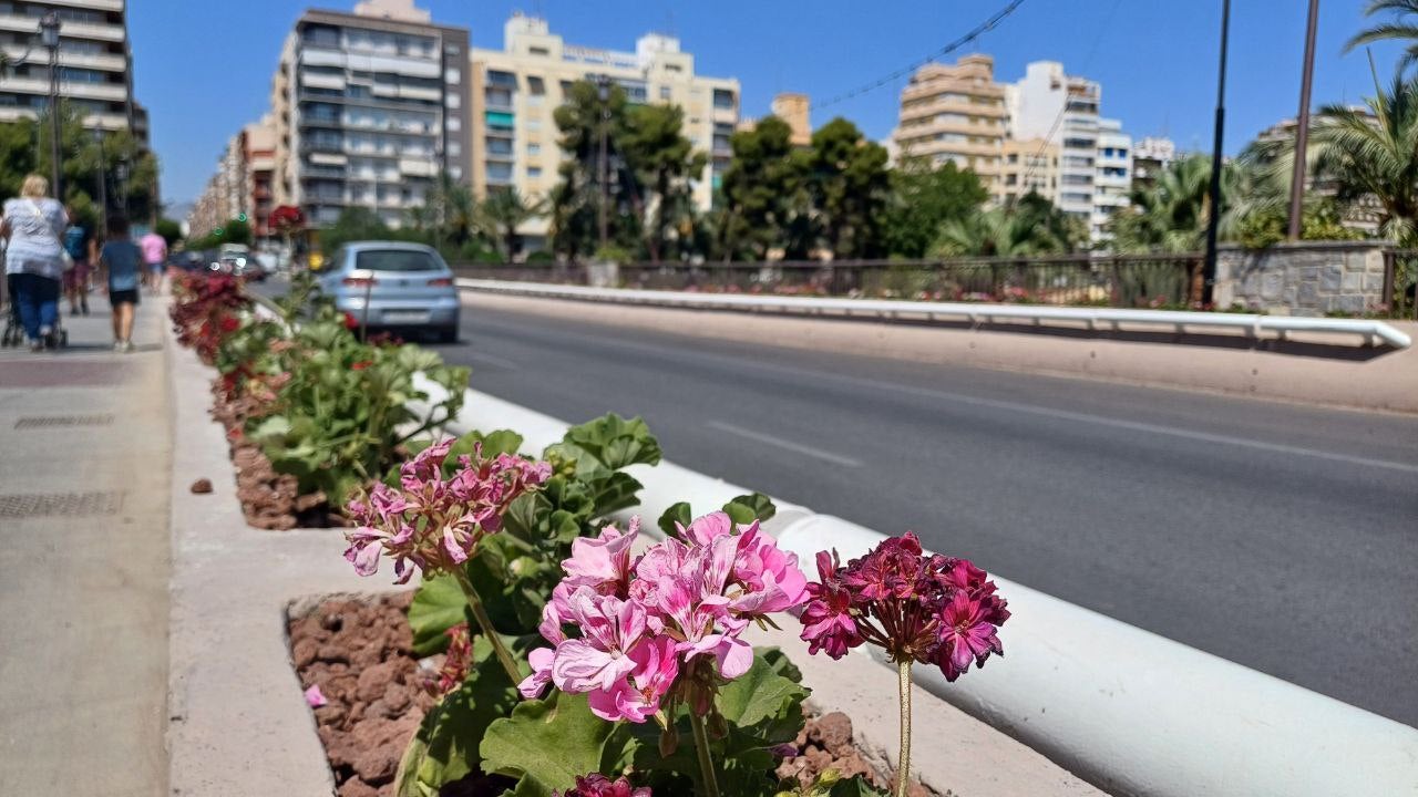 Las nuevas jardineras instaladas en el puente de Altamira de Elche.