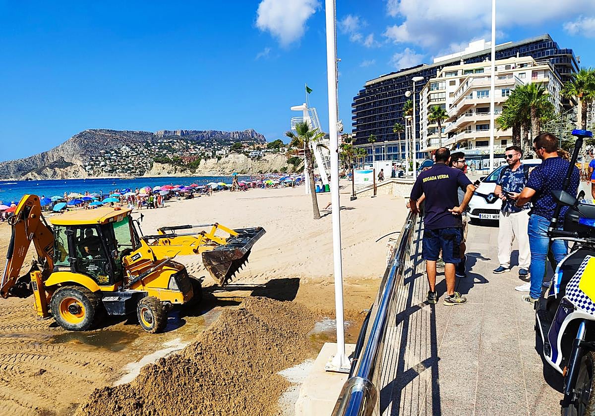 Las cinco noticias más importantes de este lunes 19 de agosto en Alicante