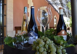 La Fiesta de la Vendimia contará con cata de vinos.