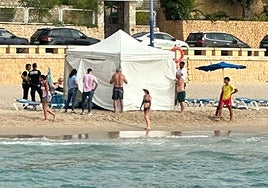 Imagen del dispositivo desplegado en la playa de Poniente de Benidorm