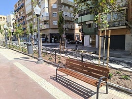Árboles plantados en la avenida General Marvá.