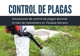 Control de plagas en Teulada-Moraira.