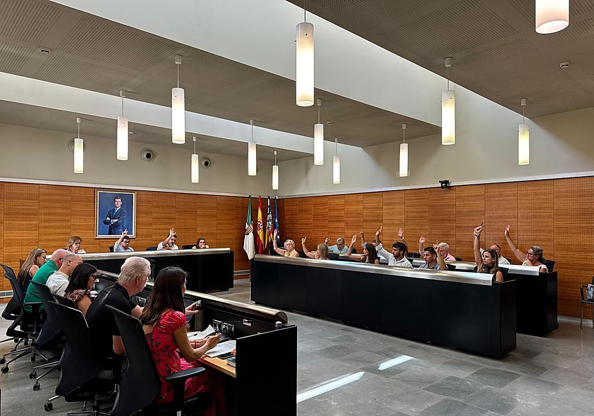 Pleno del Ayuntamiento de San Vicente.