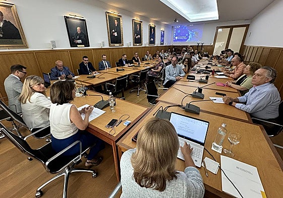 Consejo de gobierno extraordinario de la Universidad de Alicante.