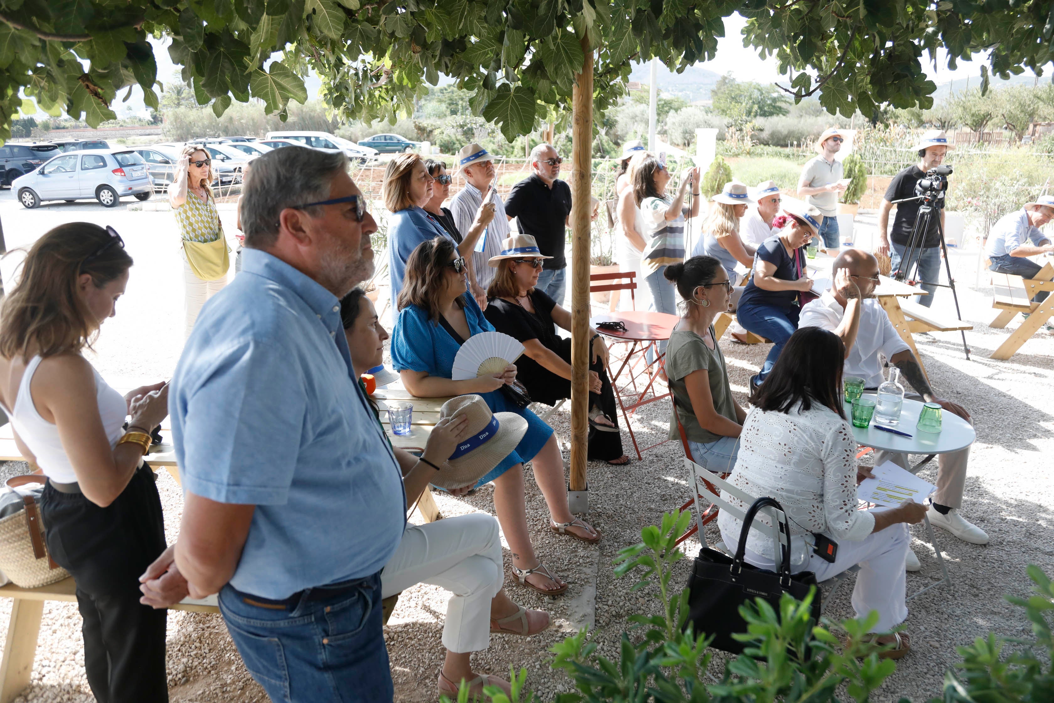 D*na Festival Dénia rinde tributo al producto de la huerta desde la orilla del mar