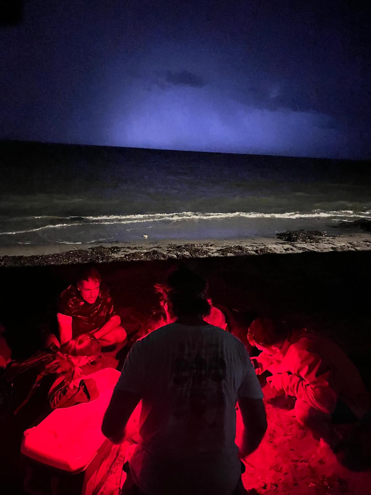 Nacen más de 100 tortugas en Dénia