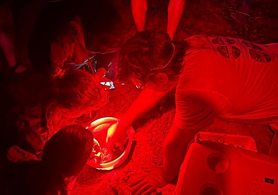 Las tortugas fueron descubiertas a 100 metros al sur del chiringuito de la playa La Marineta