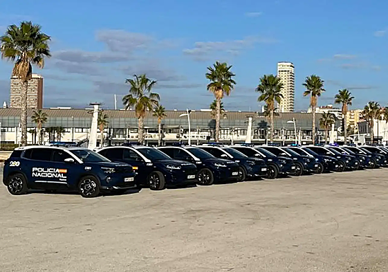 Patrullas de la Policía Nacional en Alicante.