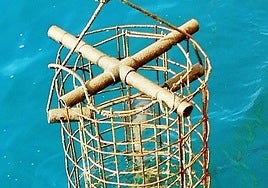 Uno de los arrecifes artificiales de la UA,