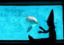 La campaña de Halloween en Mundomar