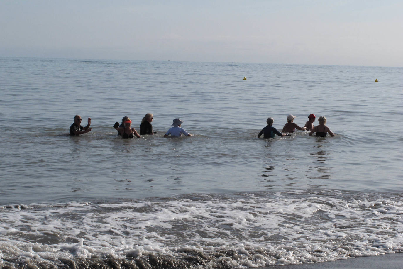 Suelta de tortugas en Dénia