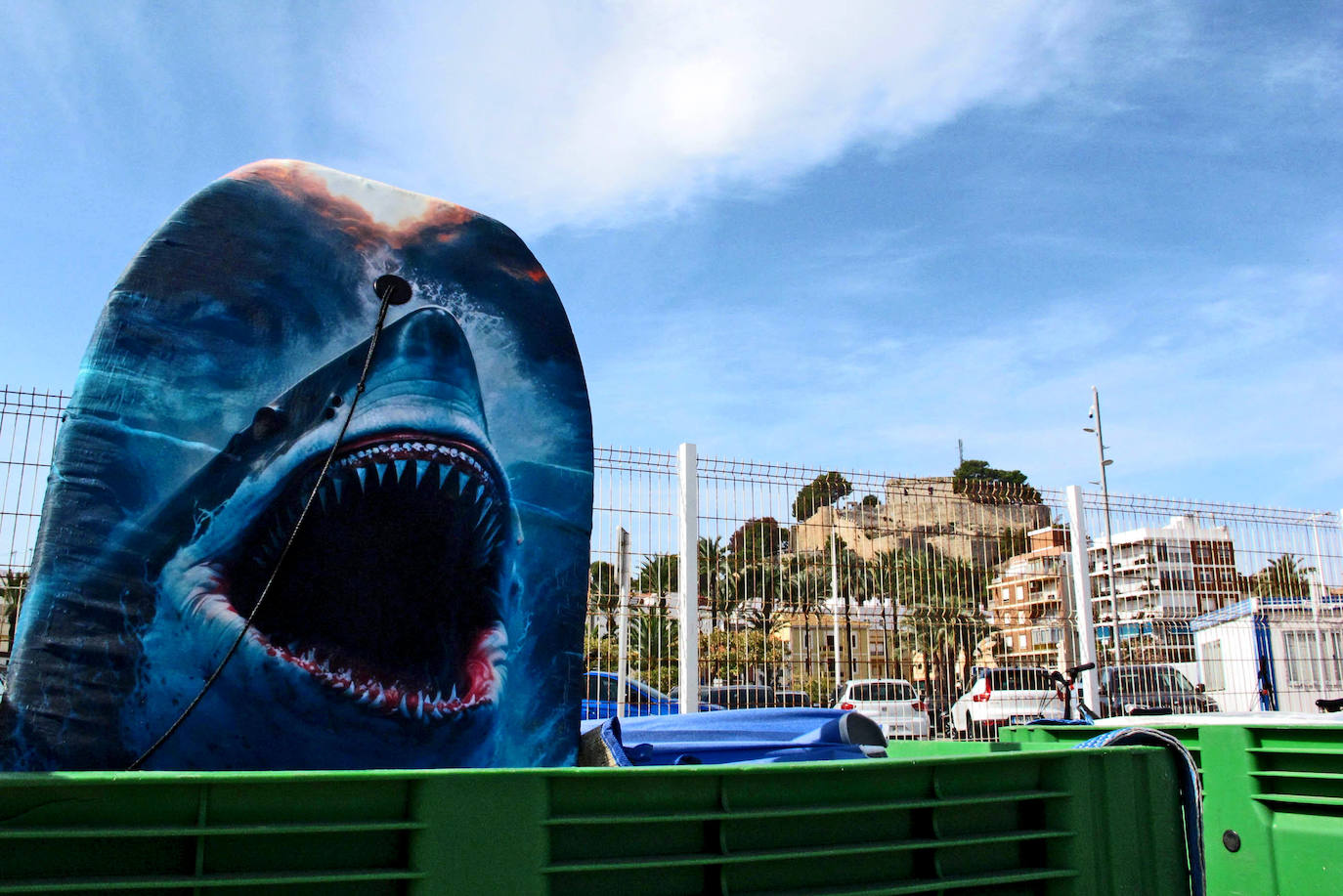Dénia se vuelca con la limpieza de los fondos marinos