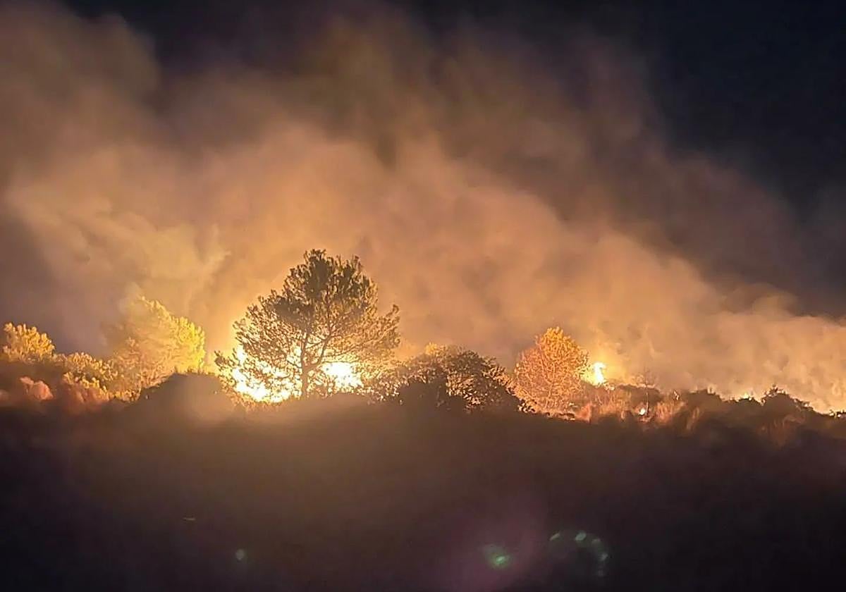 Incendio que ha afectado al parque natural.