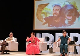 'Ibers, històries d'abelles, reines i abellots' inaugura la Mostra d'Alcoi.