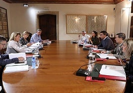 Pleno del Consell extraordinario celebrado este lunes.