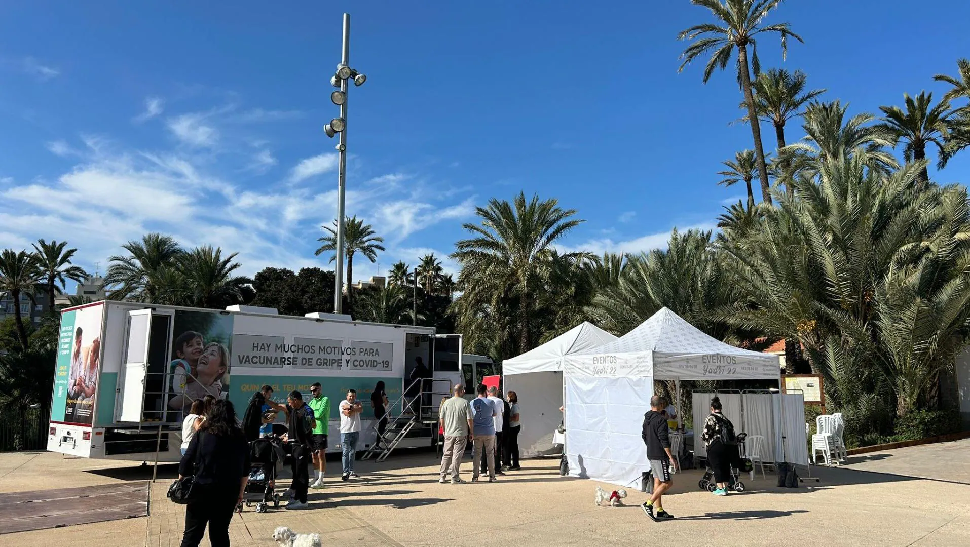 The mobile health vaccination unit administers approximately 700 doses of influenza vaccine in Alicante and Elche.