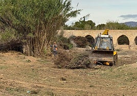 Labores de limpieza del barranco.