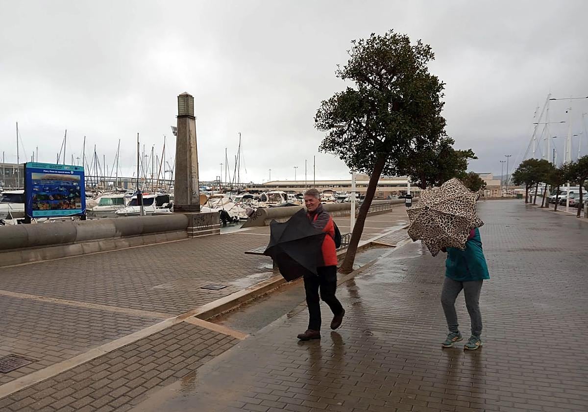 Varias personas luchan contra el viento y la lluvia en Denia este miércoles.