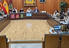 Imagen del polémico pleno.