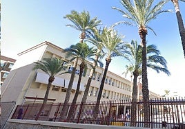 Palmeras en un colegio de Elche.